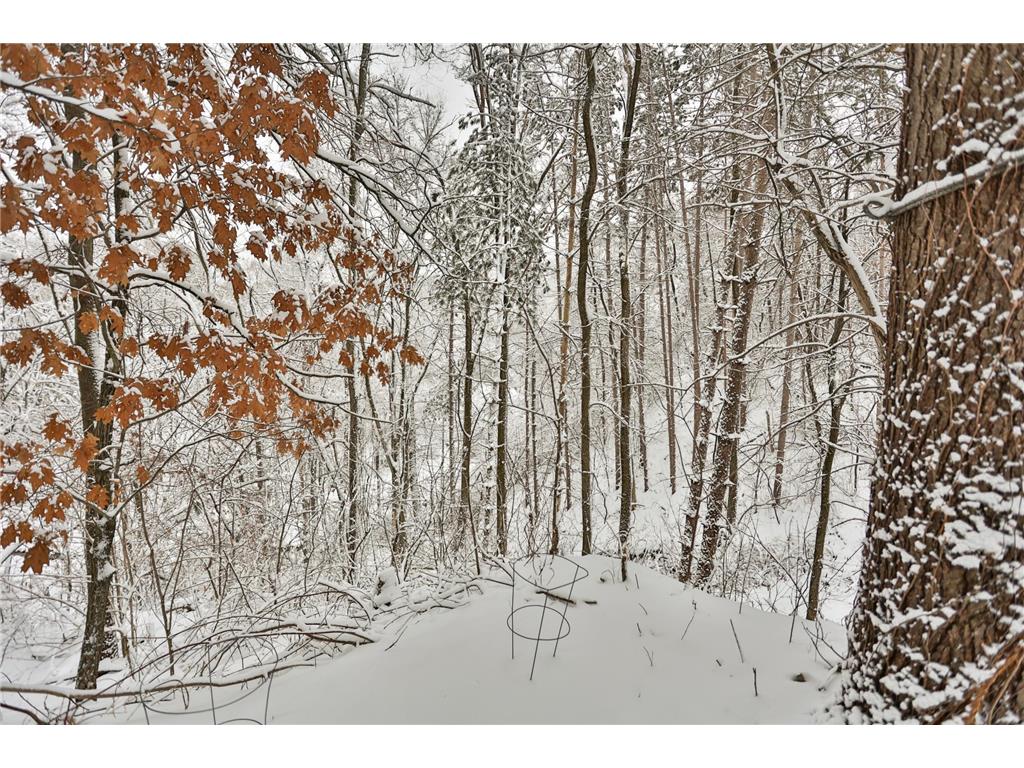 W10439 880th Avenue River Falls WI 54022 7024323 image53