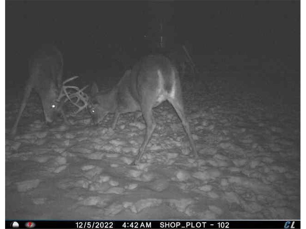 W10622 State Road 35 Oak Grove Twp WI 54021 7064089 image124