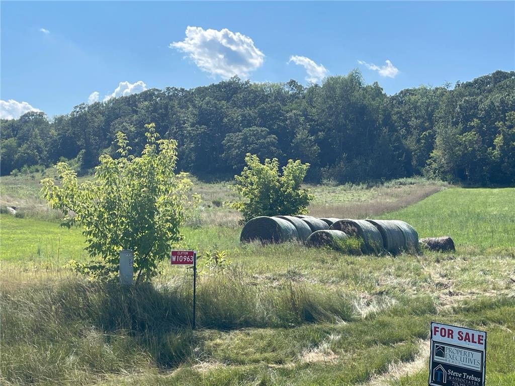 W10963 744th Avenue Clifton Twp WI 54022 6580352 image1
