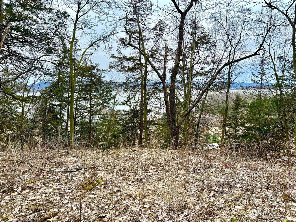 W12412 State Highway 35 Stockholm WI 54769 6745966 image11