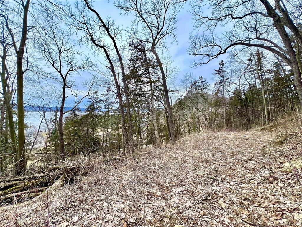 W12412 State Highway 35 Stockholm WI 54769 6745966 image12