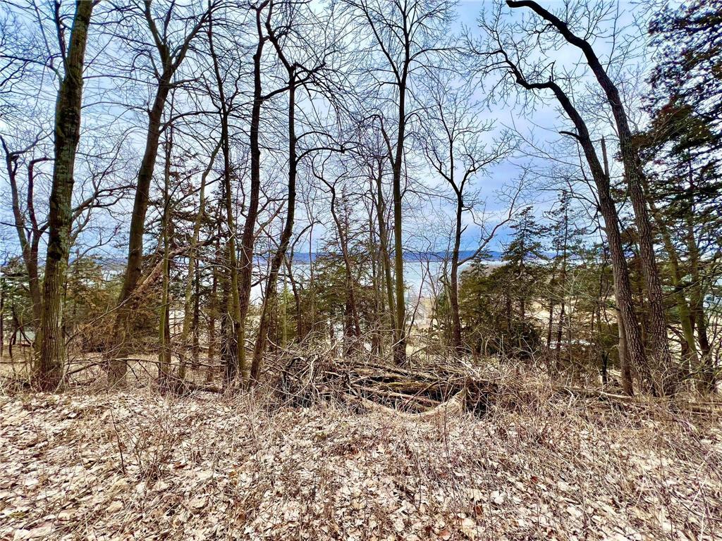 W12412 State Highway 35 Stockholm WI 54769 6745966 image13