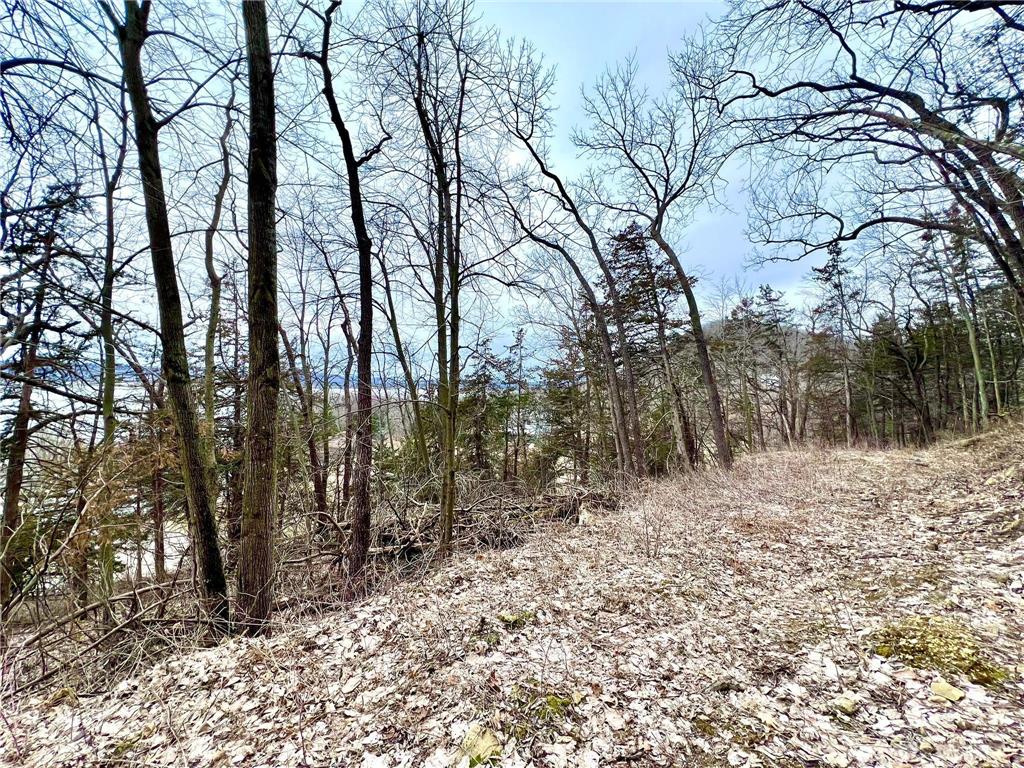 W12412 State Highway 35 Stockholm WI 54769 6745966 image14