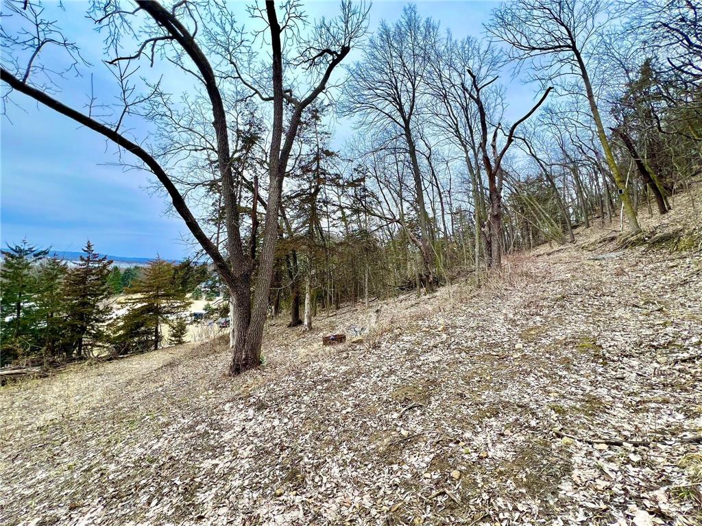 W12412 State Highway 35 Stockholm WI 54769 6745966 image17