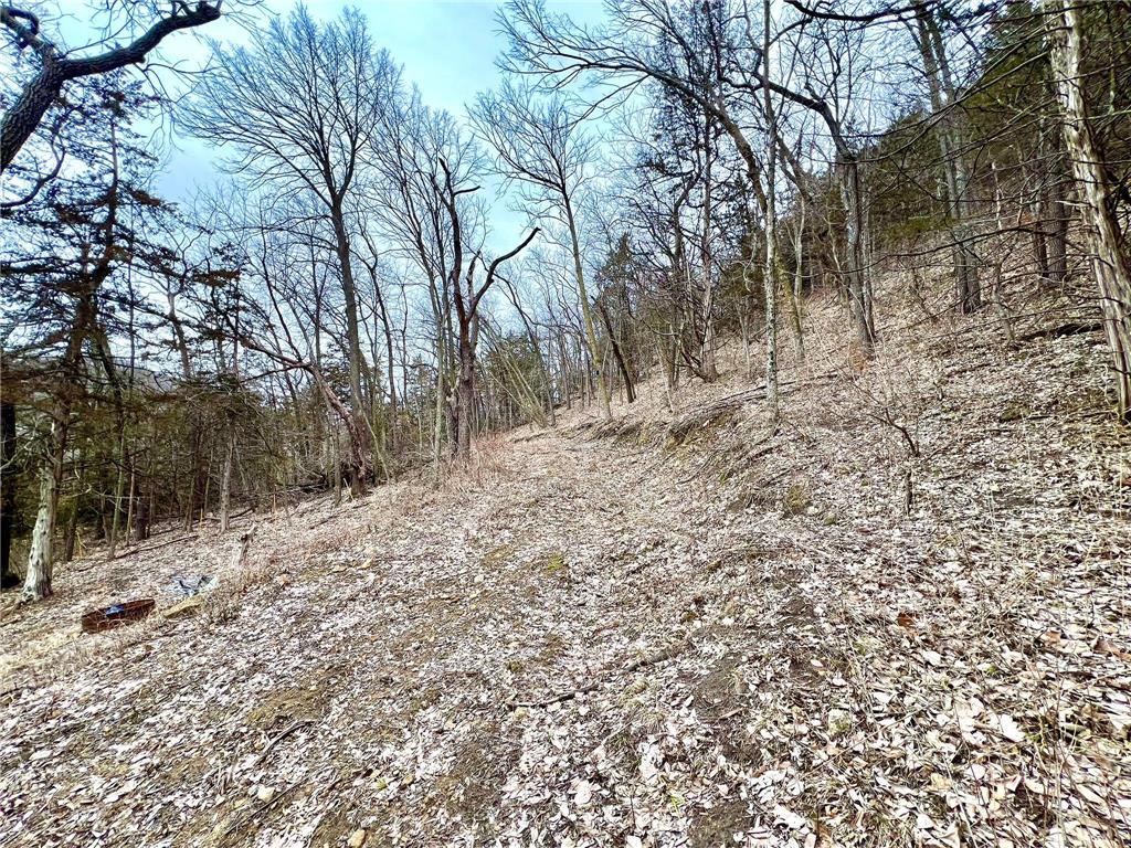 W12412 State Highway 35 Stockholm WI 54769 6745966 image18