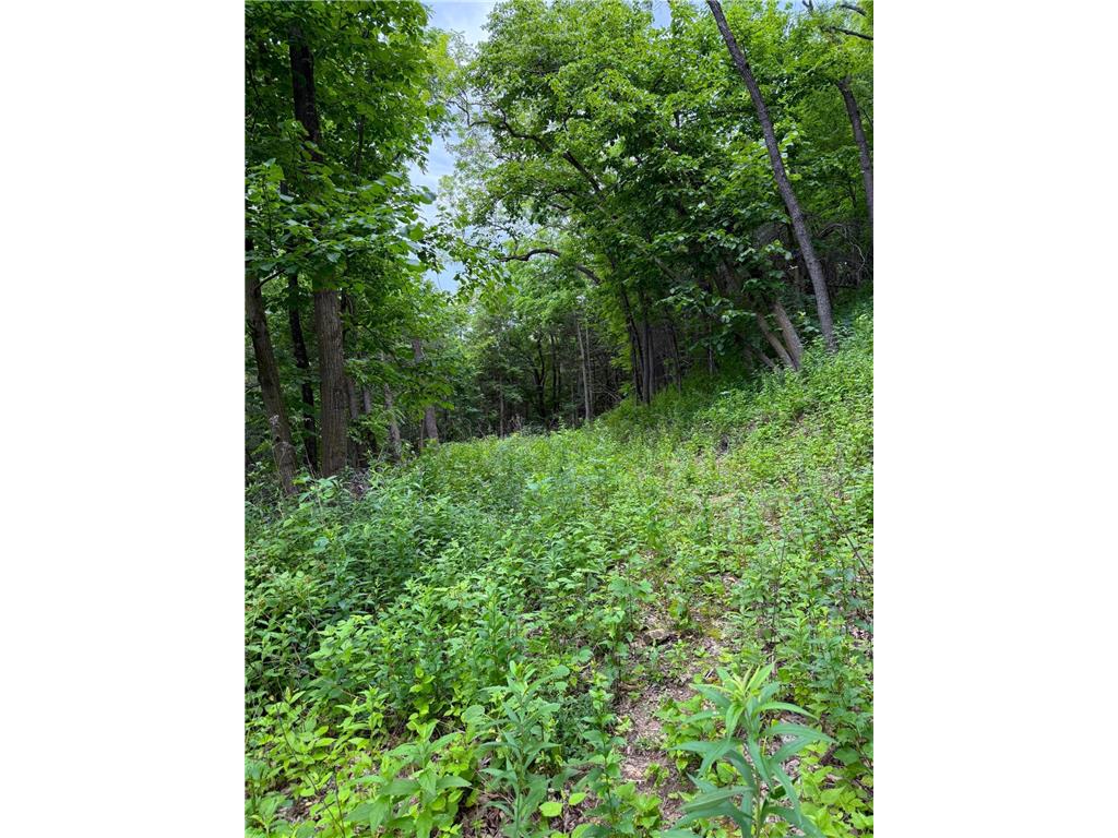 W12412 State Highway 35 Stockholm WI 54769 6745966 image26