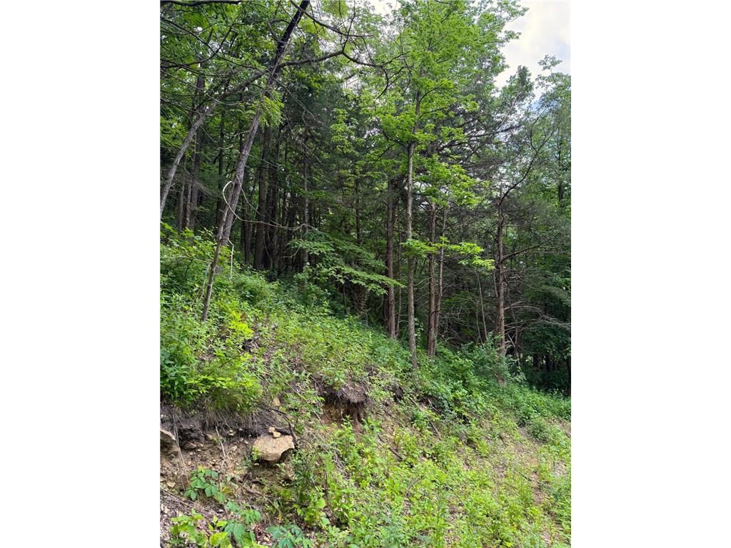 W12412 State Highway 35 Stockholm WI 54769 6745966 image27