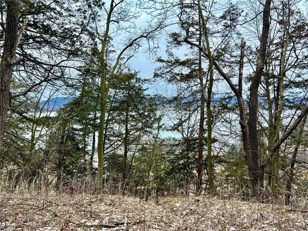 W12412 State Highway 35 Stockholm WI 54769 6745966 image7