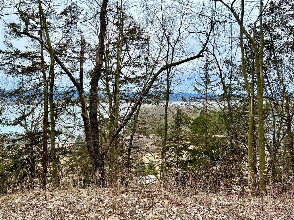 W12412 State Highway 35 Stockholm WI 54769 6745966 image8