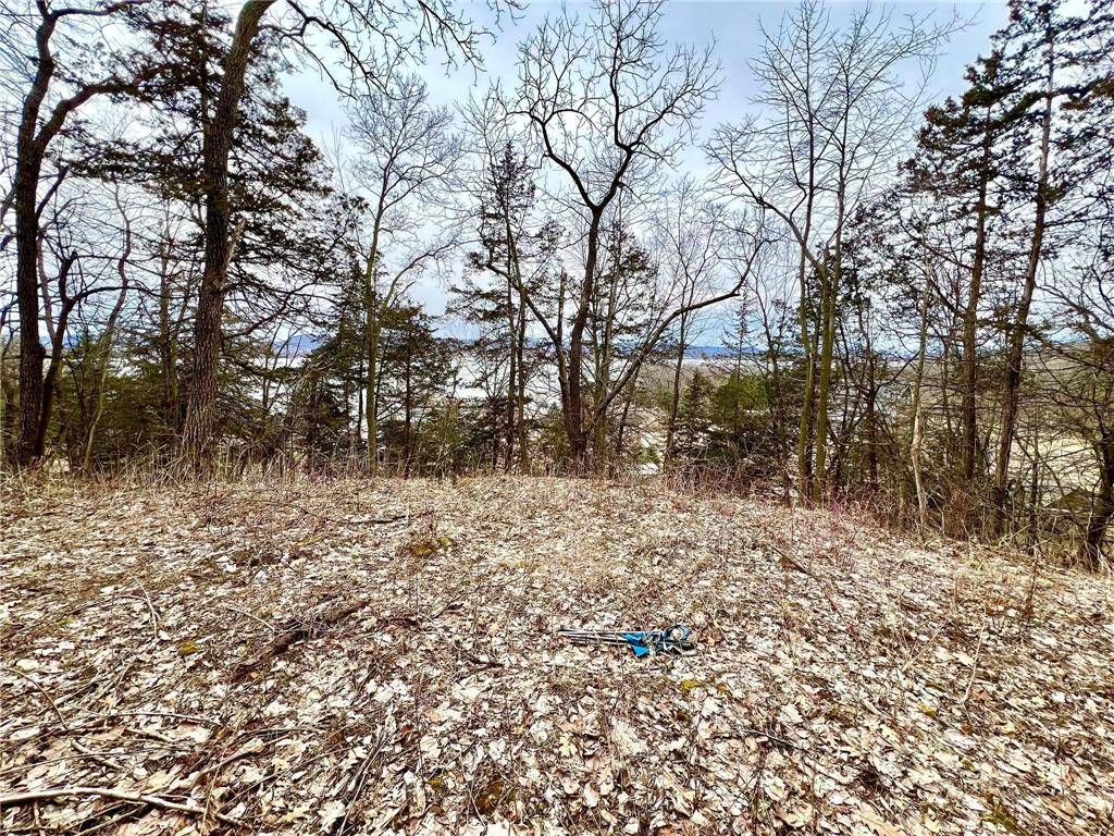 W12412 State Highway 35 Stockholm WI 54769 6745966 image9