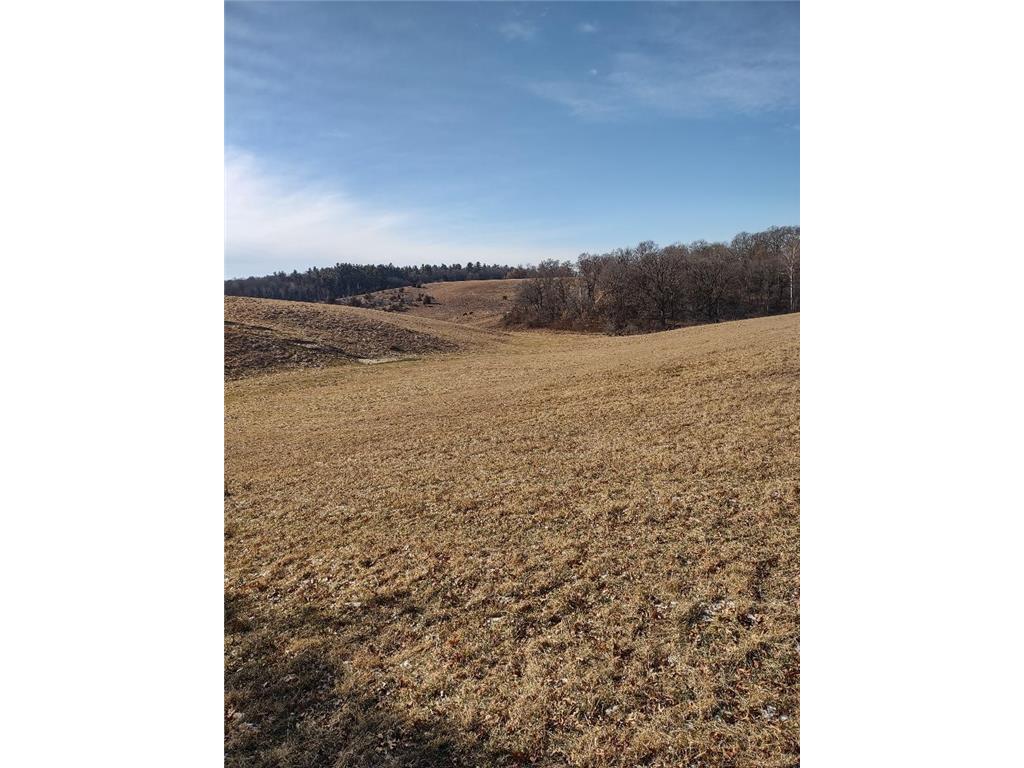 W12XXX E Moore Road Humbird WI 54746 6648058 image1