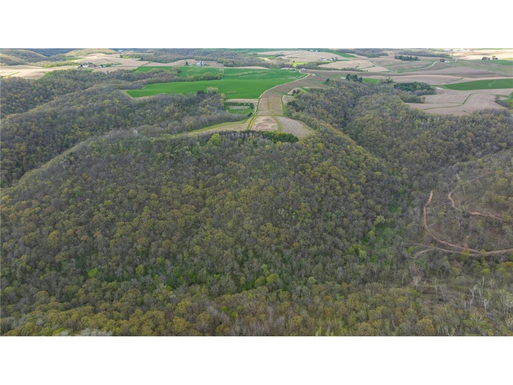 W1660 Maplewood Lane Belvidere Twp WI 54610 7039467 image100