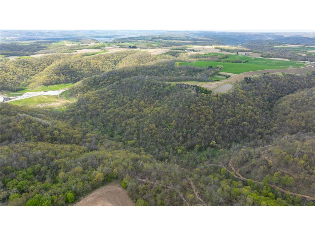 W1660 Maplewood Lane Belvidere Twp WI 54610 7039467 image103
