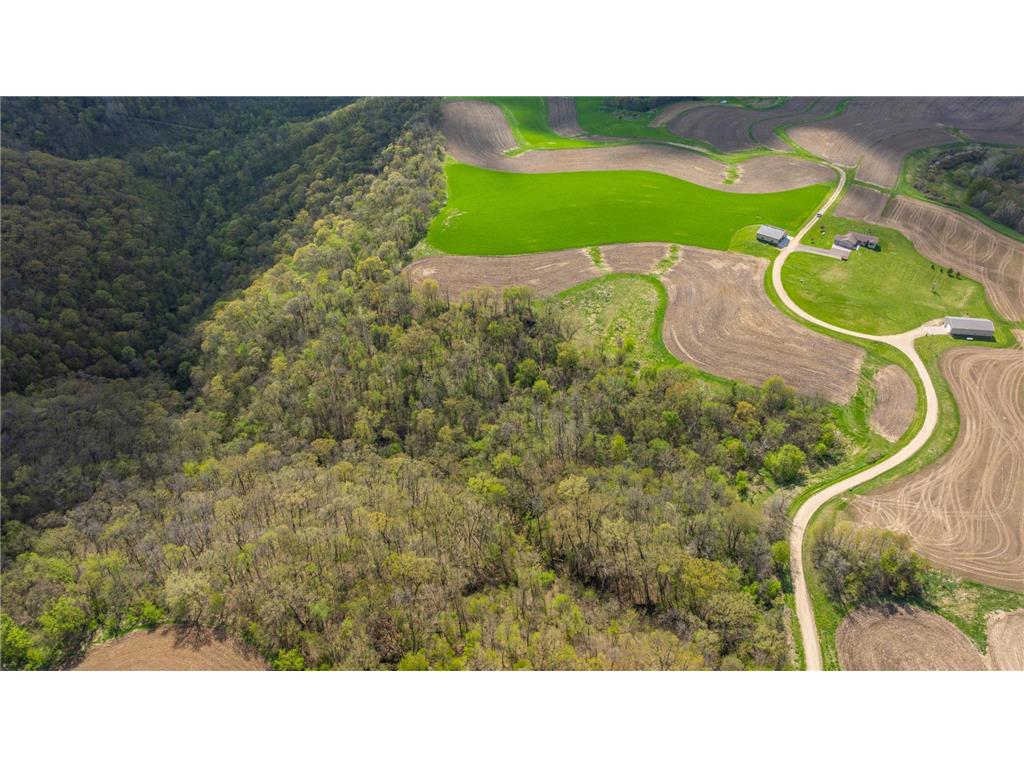 W1660 Maplewood Lane Belvidere Twp WI 54610 7039467 image79