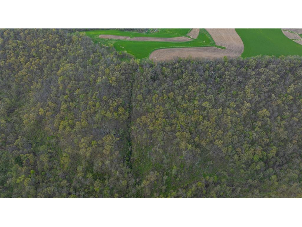 W1660 Maplewood Lane Belvidere Twp WI 54610 7039467 image85