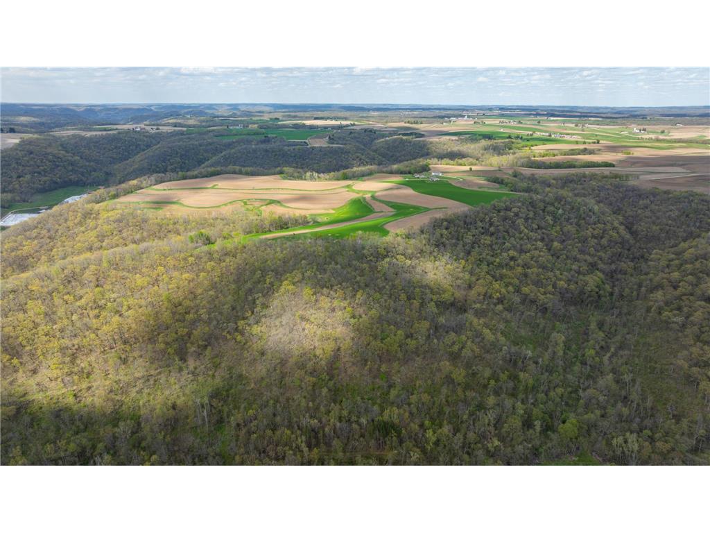 W1660 Maplewood Lane Belvidere Twp WI 54610 7039467 image89