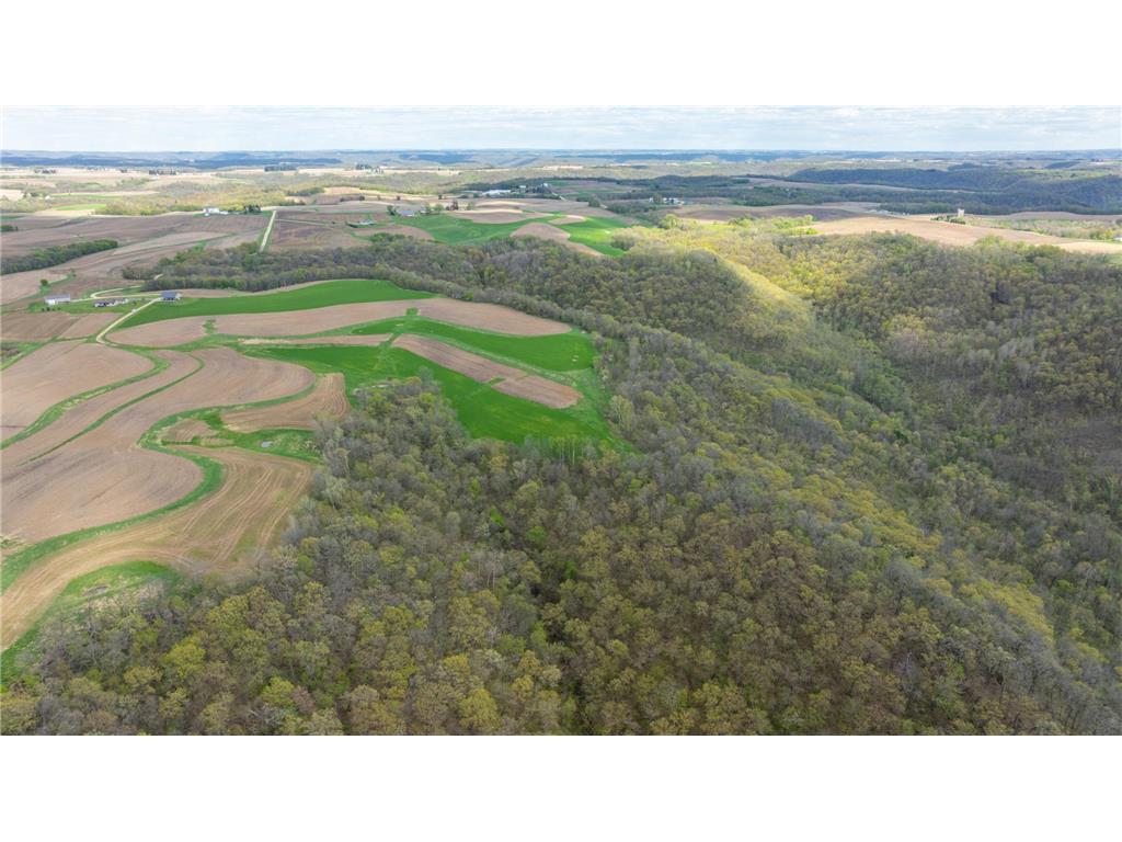 W1660 Maplewood Lane Belvidere Twp WI 54610 7039467 image95