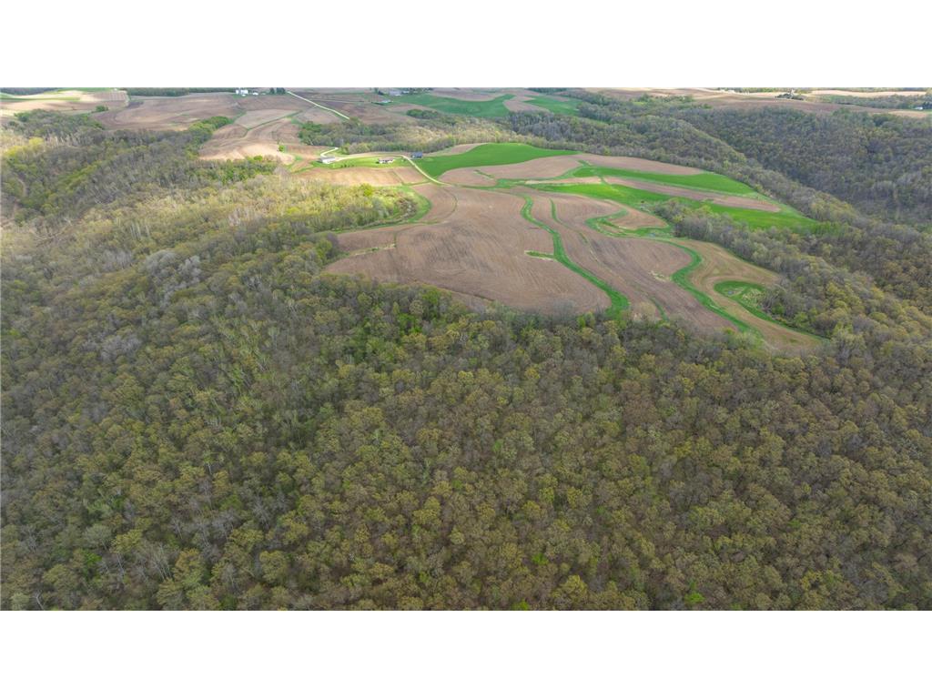 W1660 Maplewood Lane Belvidere Twp WI 54610 7039467 image96