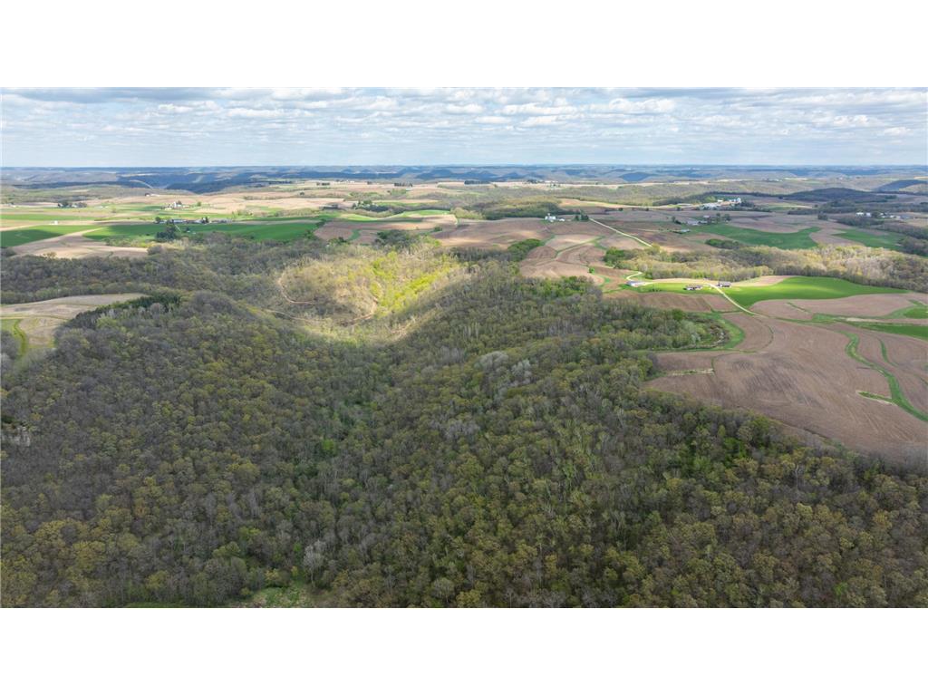 W1660 Maplewood Lane Belvidere Twp WI 54610 7039467 image97