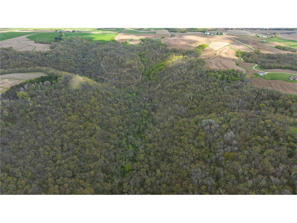 W1660 Maplewood Lane Belvidere Twp WI 54610 7039467 image99