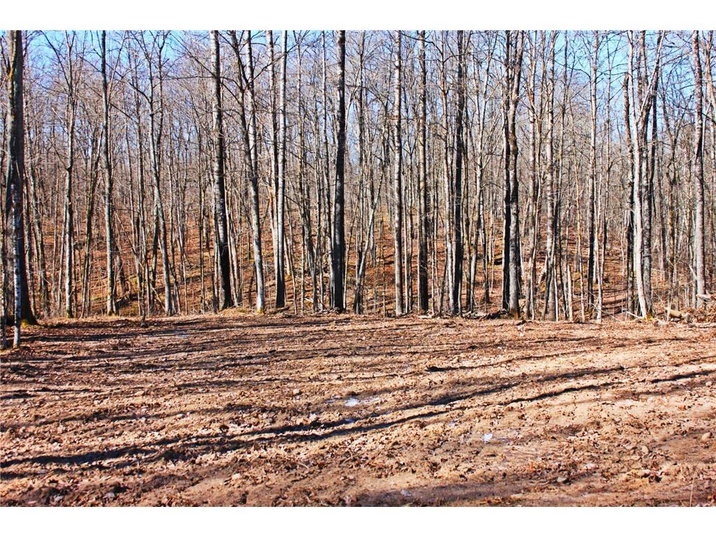 W2352 Eagle Nest Road Birchwood Twp WI 54870 6692024 image1