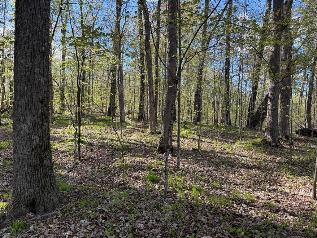 W2373 Blackhawk Road Birchwood WI 54870 7075467 image1