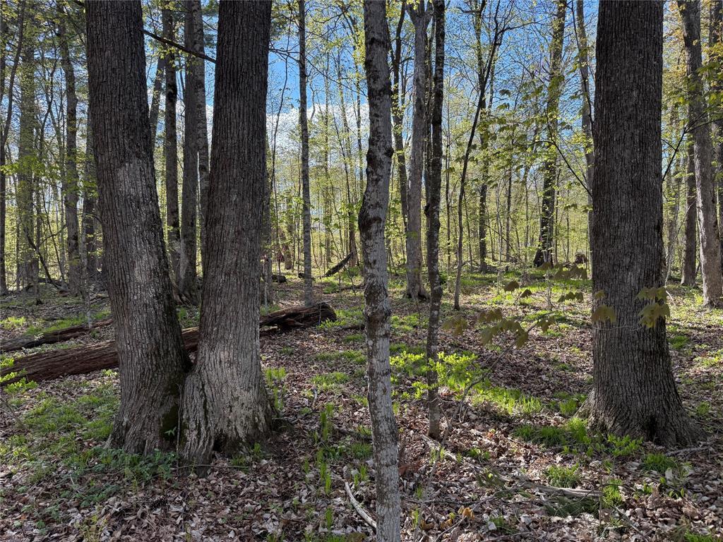 W2373 Blackhawk Road Birchwood WI 54870 7075467 image6