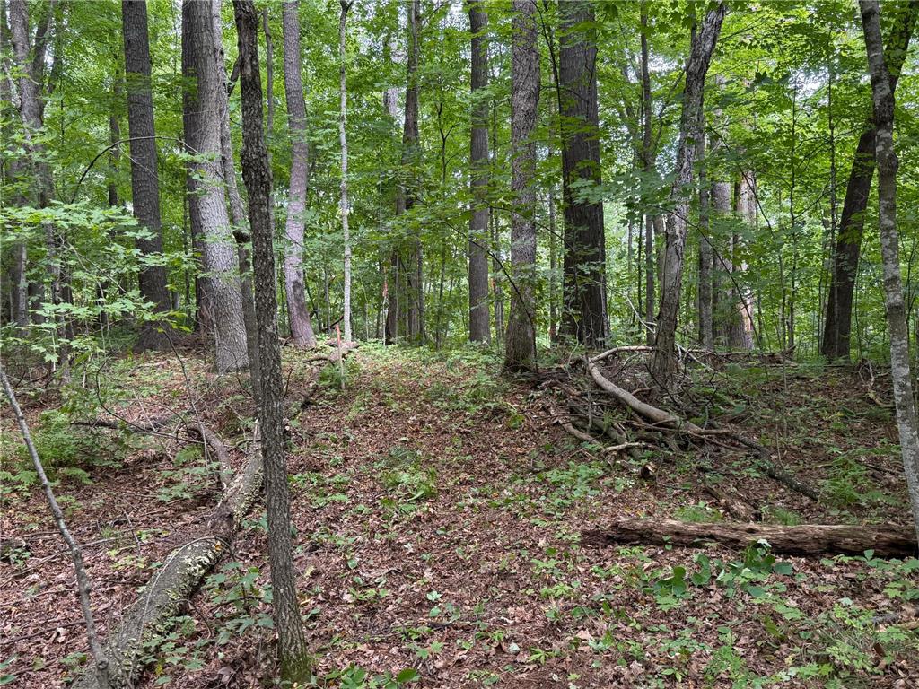 W2371 Blackhawk Road Birchwood WI 54870 - Long Lake 7100457 image19