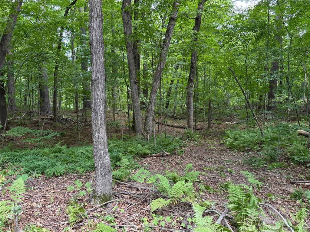 W2371 Blackhawk Road Birchwood WI 54870 - Long Lake 7100457 image7