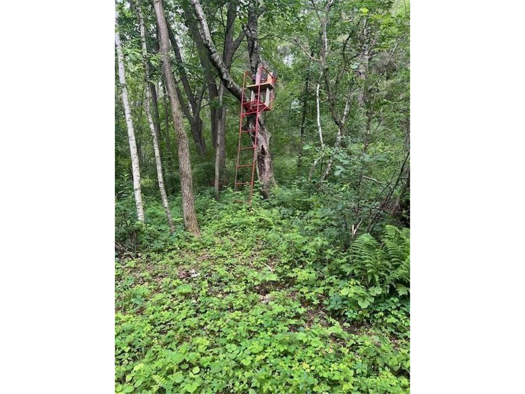 W25757 Bear Coulee Road Dodge WI 54661 6747372 image58