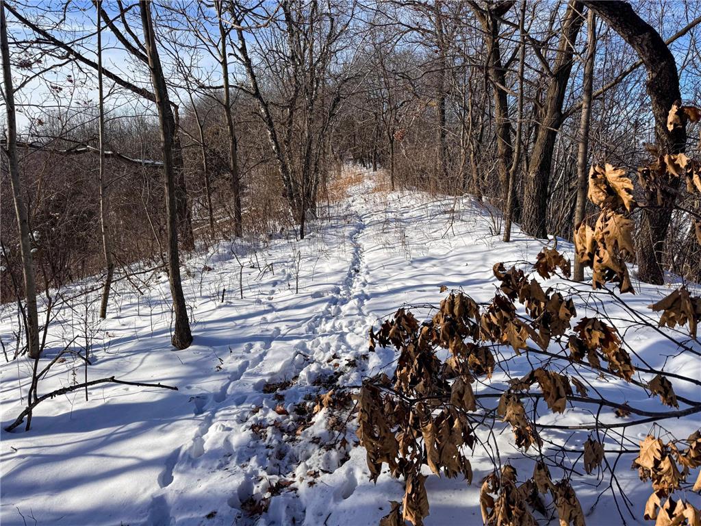 W27022 Whistle Pass Road Dodge WI 54661 7007838 image10