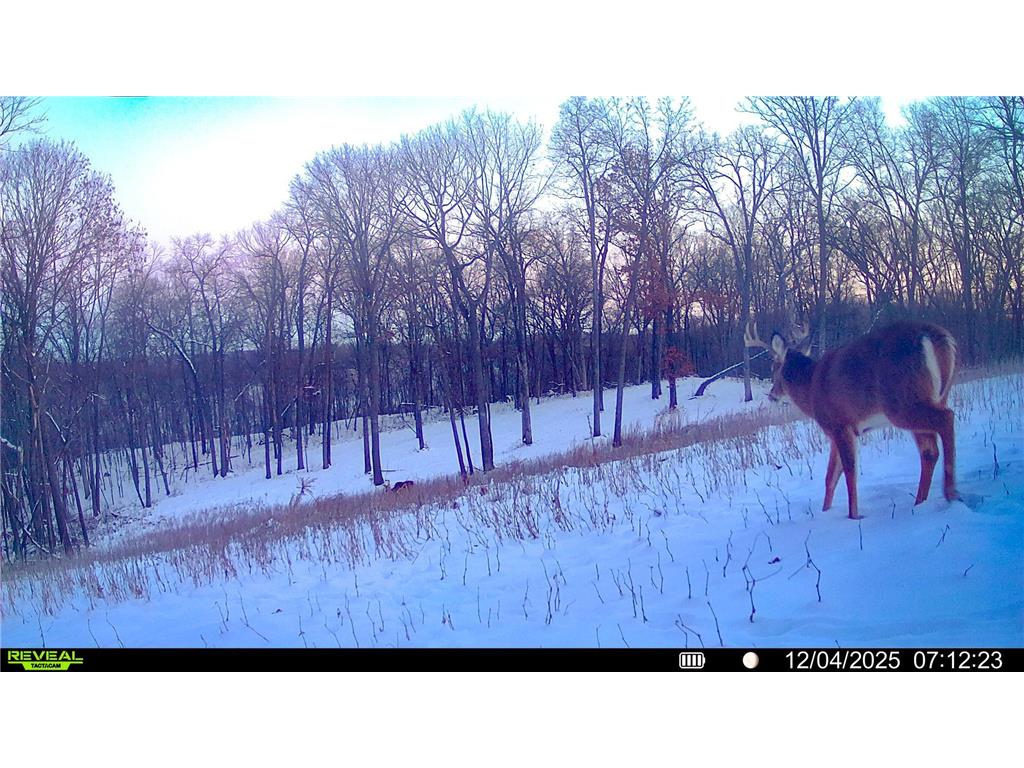 W27022 Whistle Pass Road Dodge WI 54661 7007838 image100