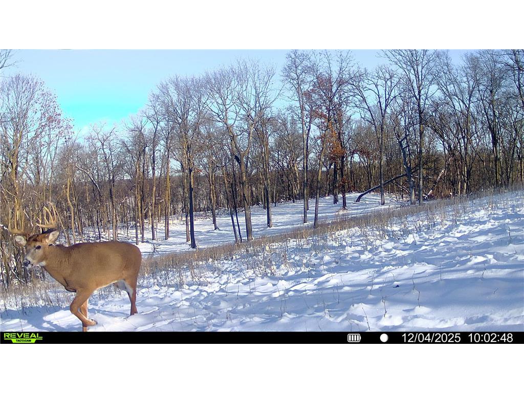 W27022 Whistle Pass Road Dodge WI 54661 7007838 image101