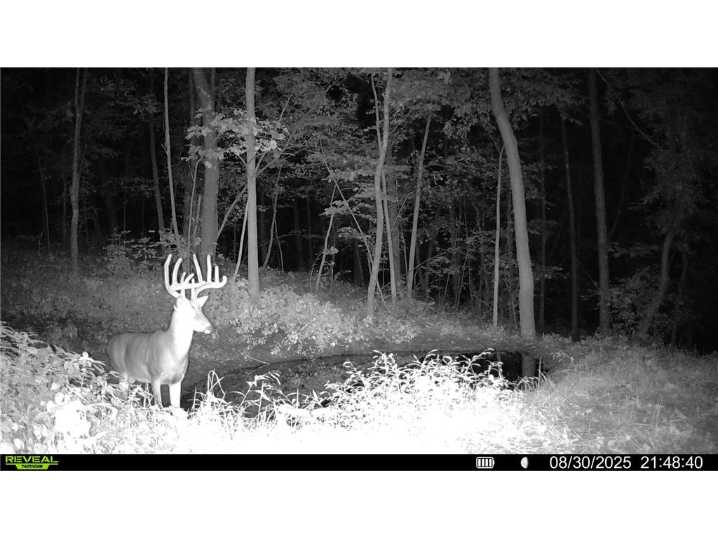 W27022 Whistle Pass Road Dodge WI 54661 7007838 image102