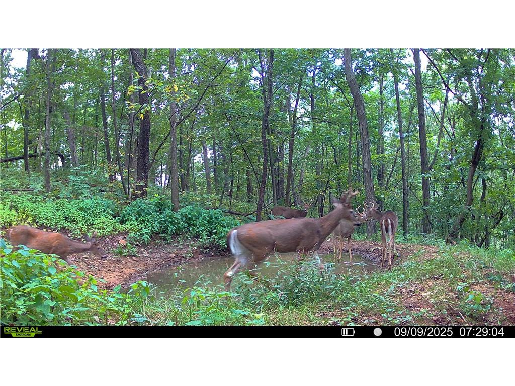 W27022 Whistle Pass Road Dodge WI 54661 7007838 image103