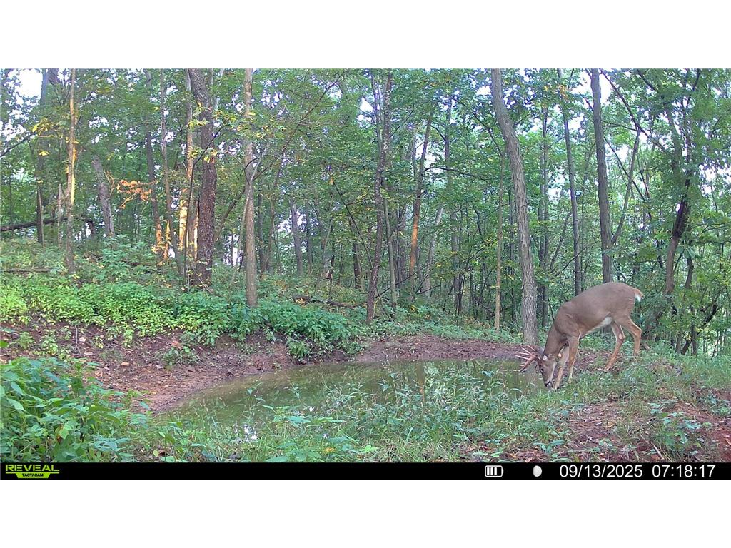 W27022 Whistle Pass Road Dodge WI 54661 7007838 image104