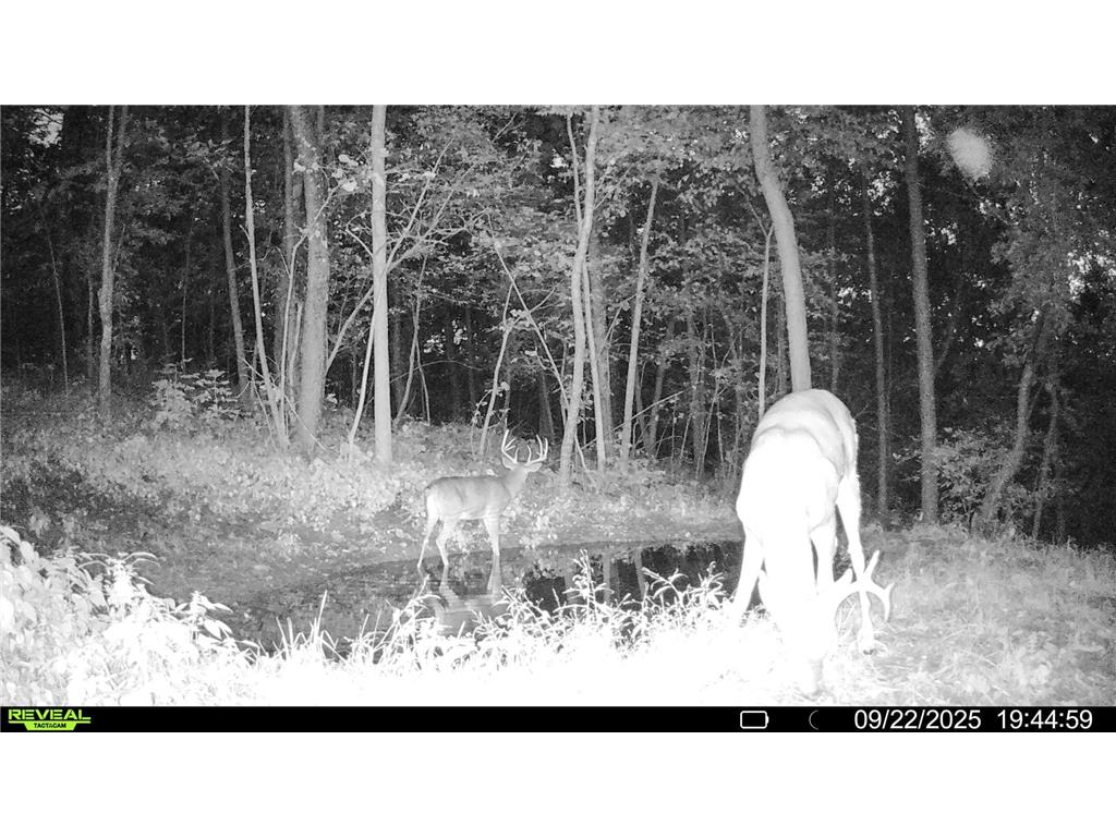 W27022 Whistle Pass Road Dodge WI 54661 7007838 image108