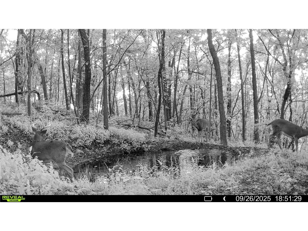 W27022 Whistle Pass Road Dodge WI 54661 7007838 image109