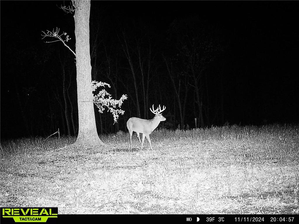 W27022 Whistle Pass Road Dodge WI 54661 7007838 image11