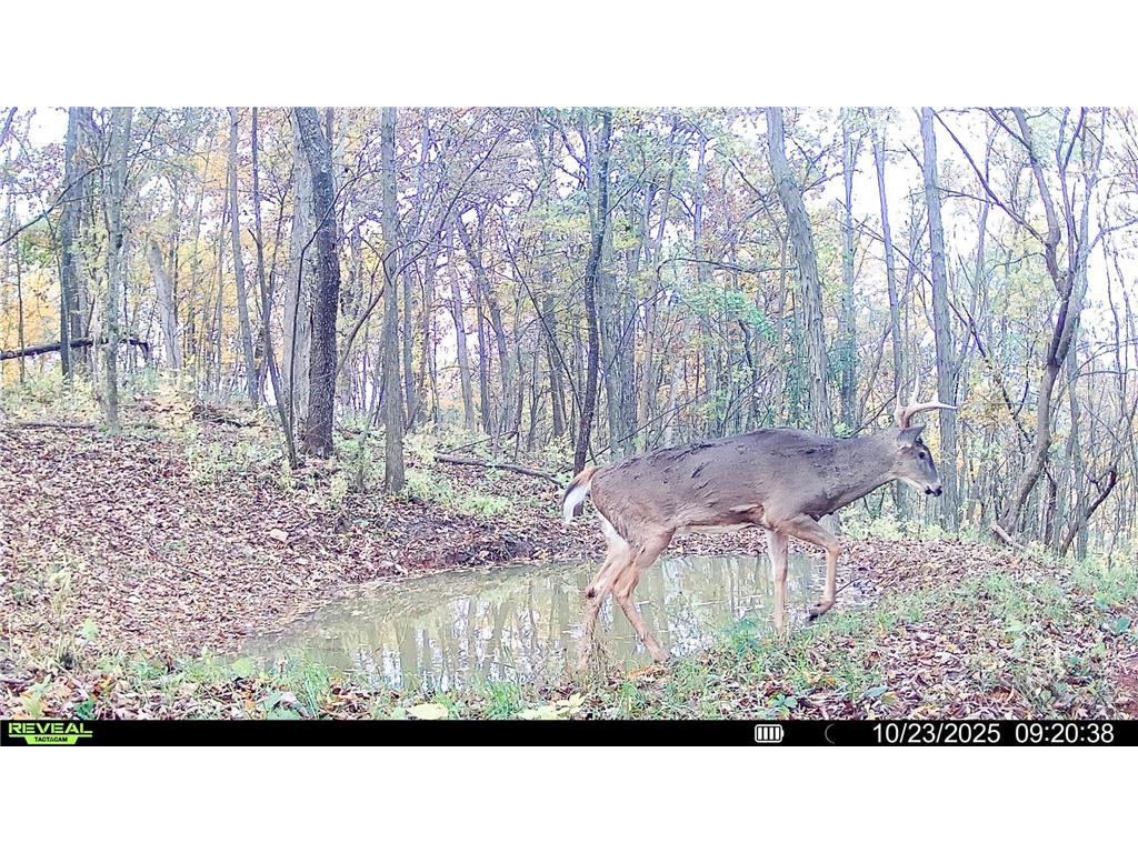 W27022 Whistle Pass Road Dodge WI 54661 7007838 image110