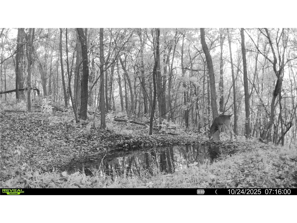 W27022 Whistle Pass Road Dodge WI 54661 7007838 image111