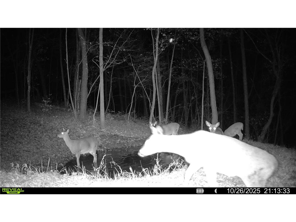 W27022 Whistle Pass Road Dodge WI 54661 7007838 image112