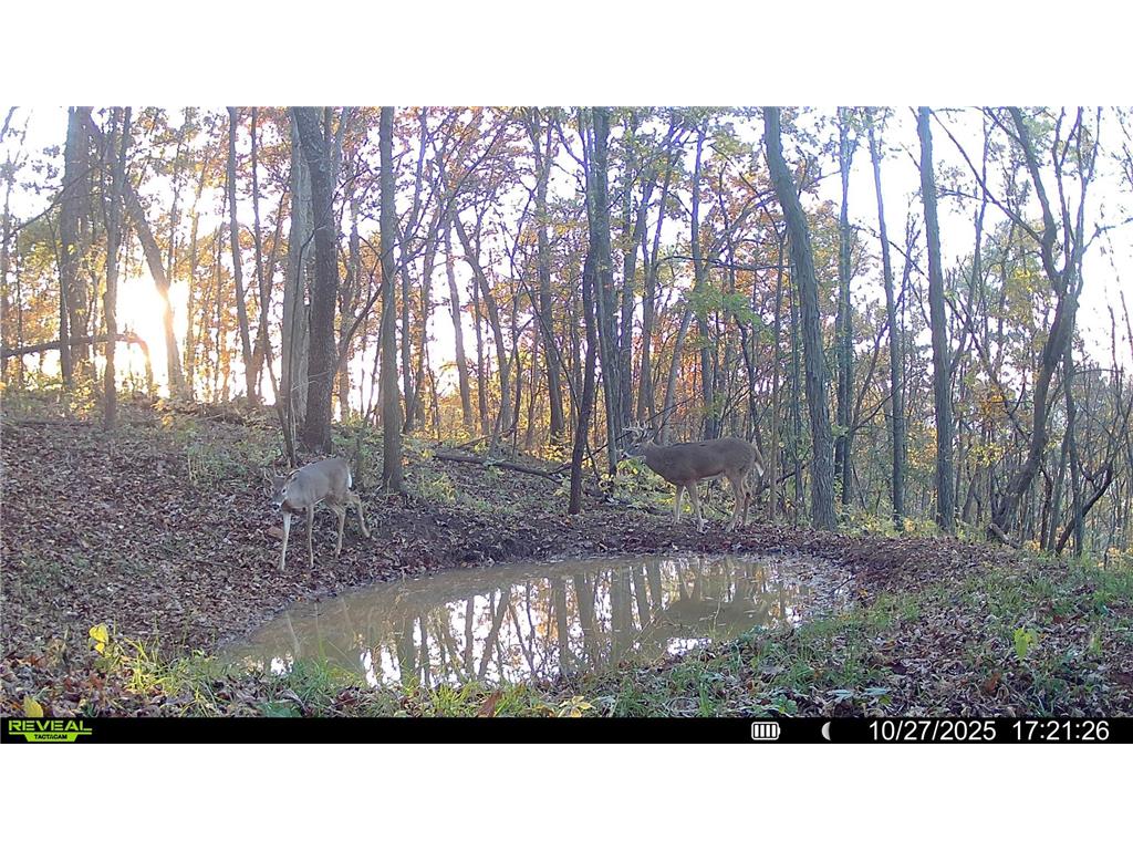 W27022 Whistle Pass Road Dodge WI 54661 7007838 image113