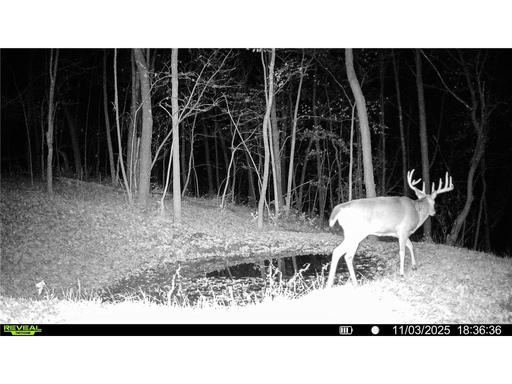 W27022 Whistle Pass Road Dodge WI 54661 7007838 image114