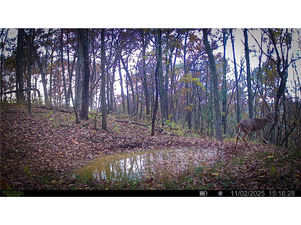 W27022 Whistle Pass Road Dodge WI 54661 7007838 image115