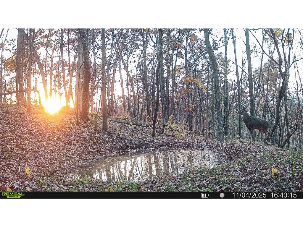 W27022 Whistle Pass Road Dodge WI 54661 7007838 image116