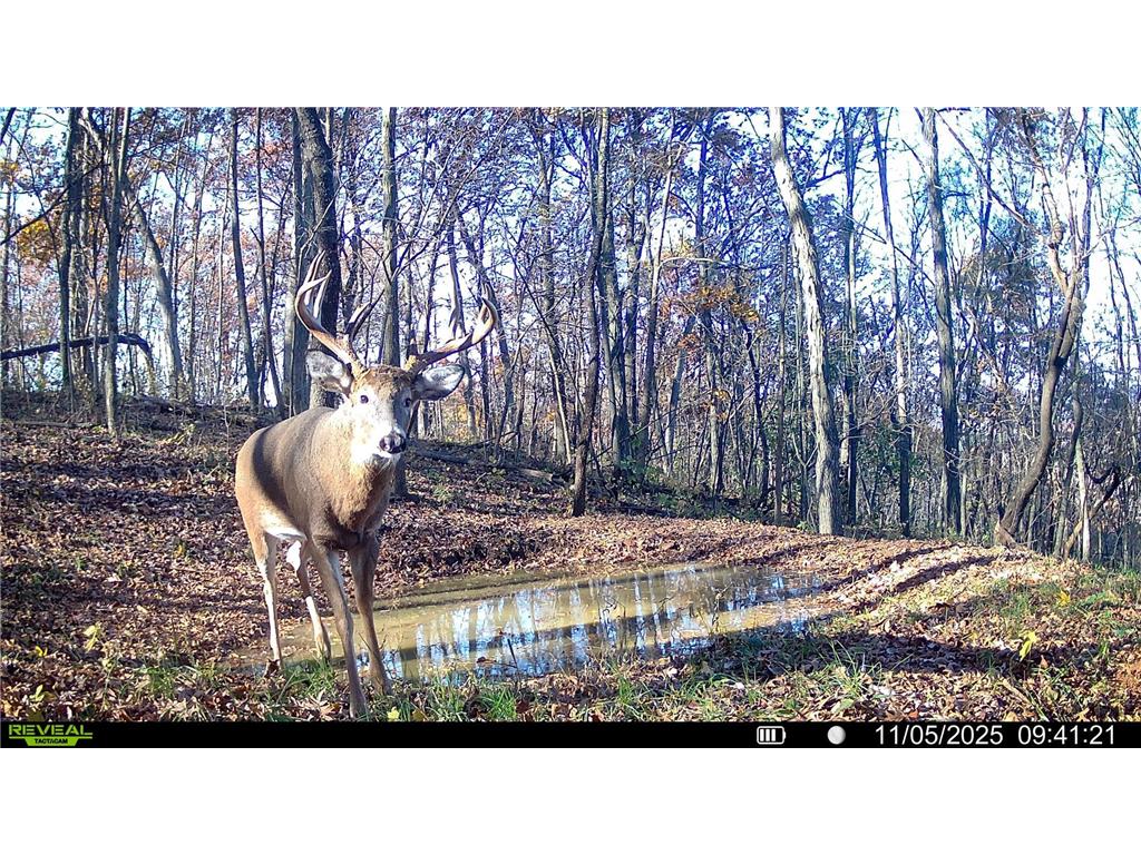 W27022 Whistle Pass Road Dodge WI 54661 7007838 image117