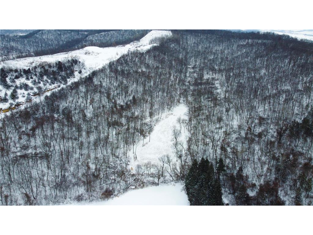 W27022 Whistle Pass Road Dodge WI 54661 7007838 image12