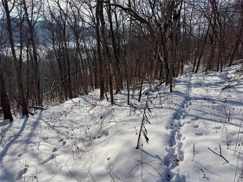 W27022 Whistle Pass Road Dodge WI 54661 7007838 image15