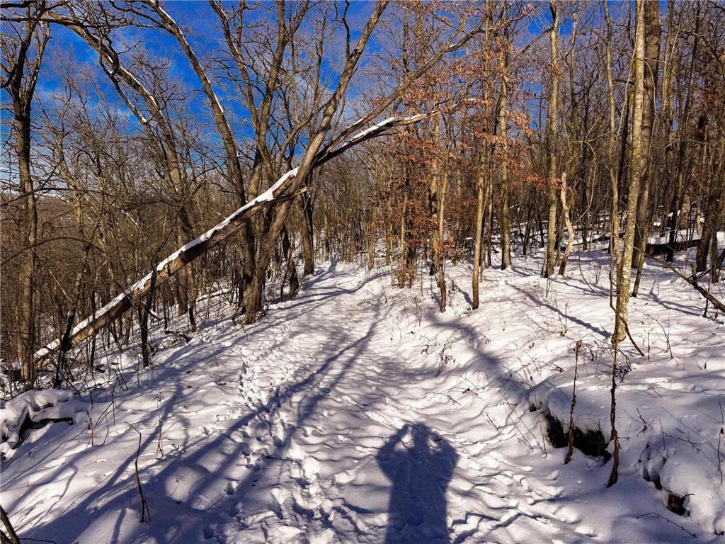 W27022 Whistle Pass Road Dodge WI 54661 7007838 image16